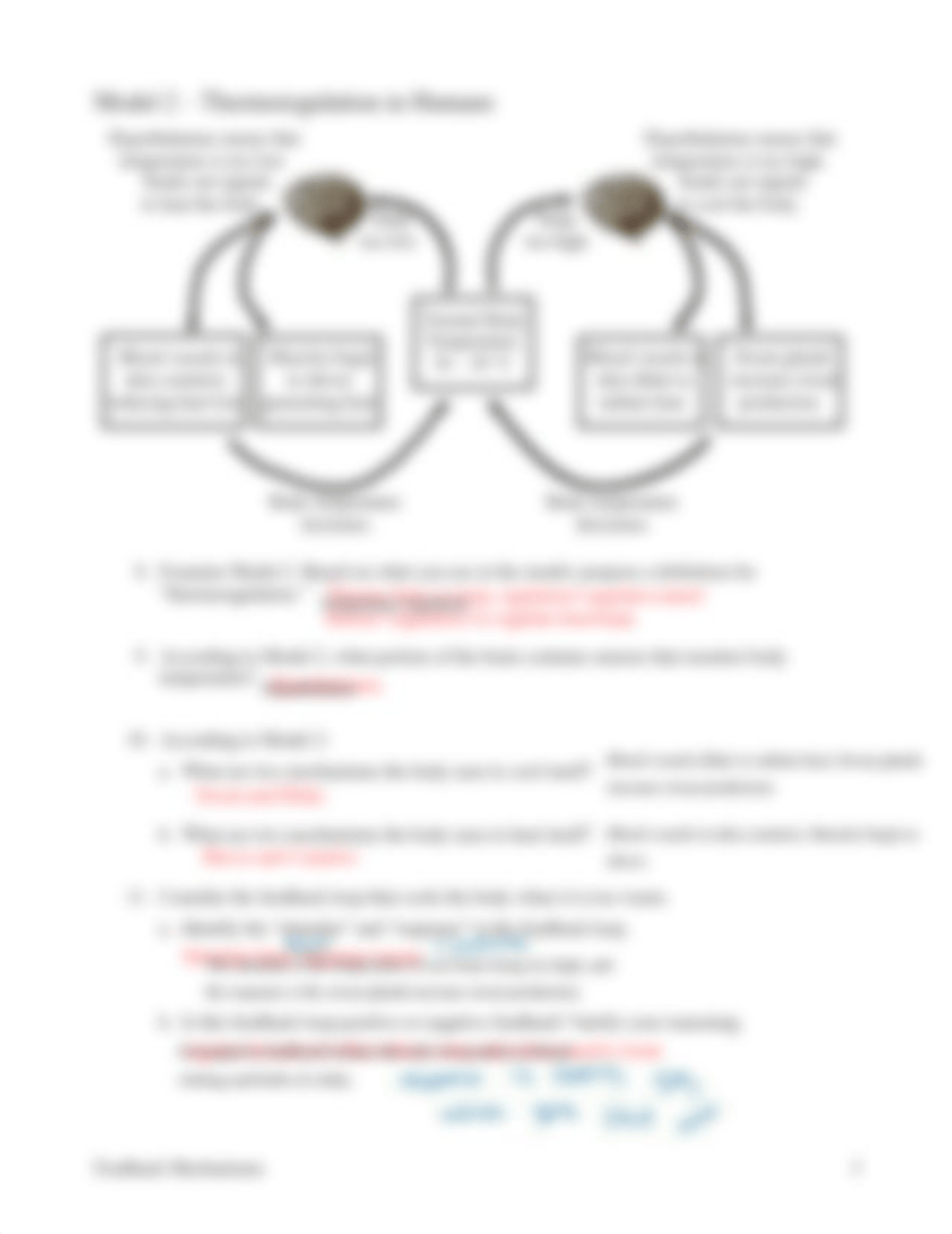 27-feedback-mechanisms-pogil.pdf_dl9wrmw391s_page3