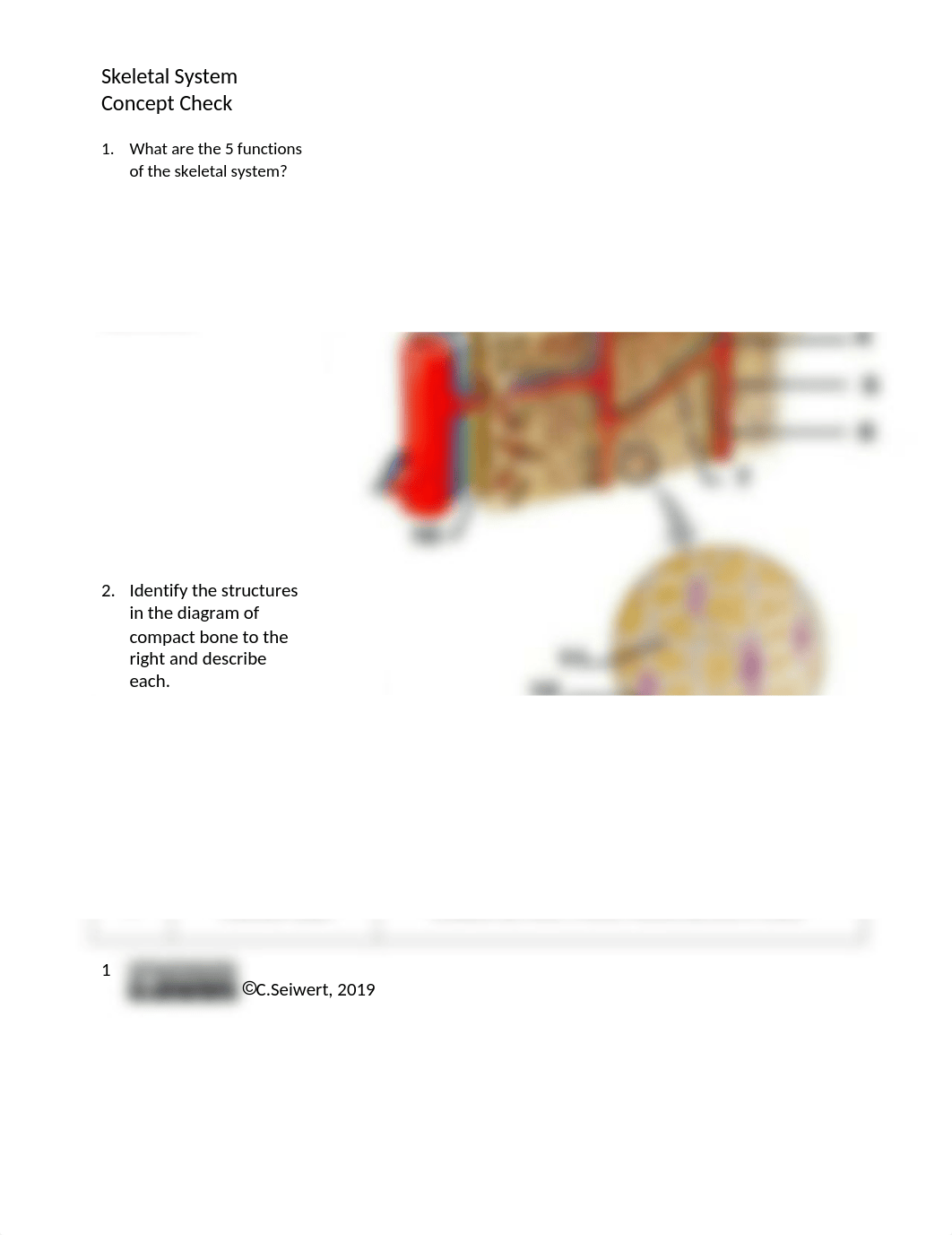 Skeletal System Concept Check revised .docx_dl9yjllrlk2_page1