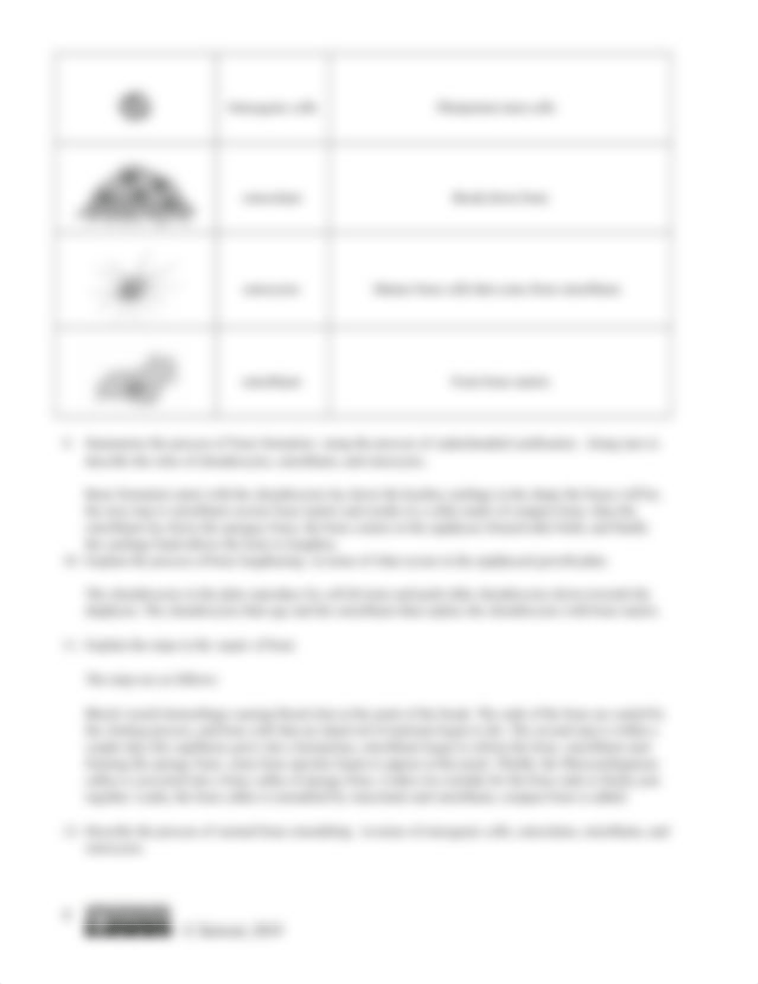 Skeletal System Concept Check revised .docx_dl9yjllrlk2_page4