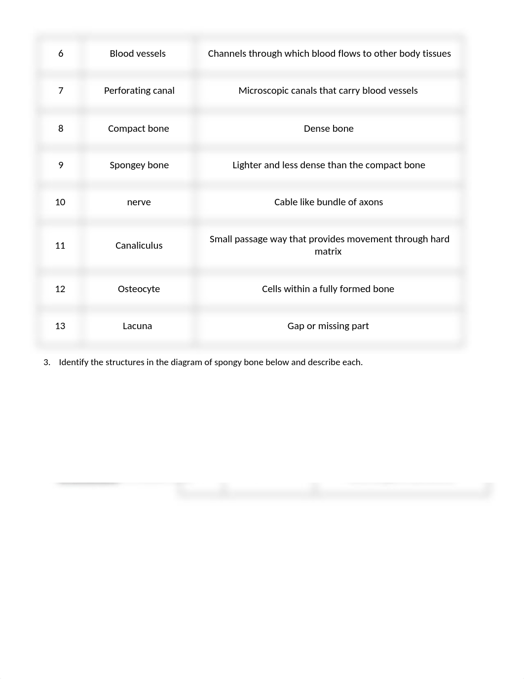 Skeletal System Concept Check revised .docx_dl9yjllrlk2_page2