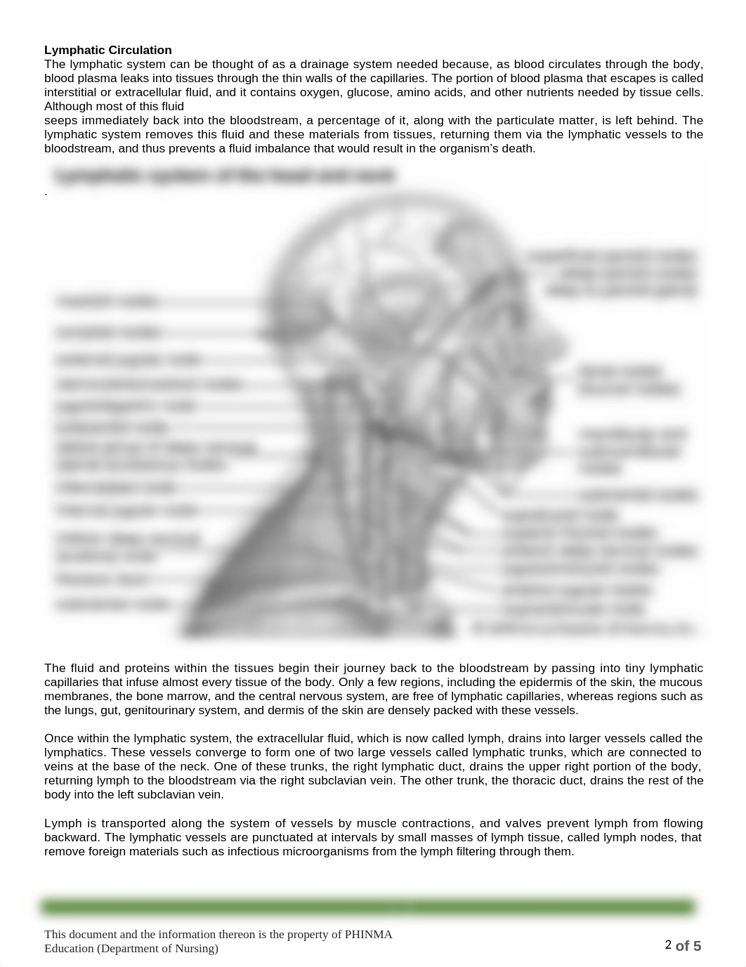 Session_35_SAS_-_AnaPhy_(Lab).docx_dlaqk3chf8a_page2