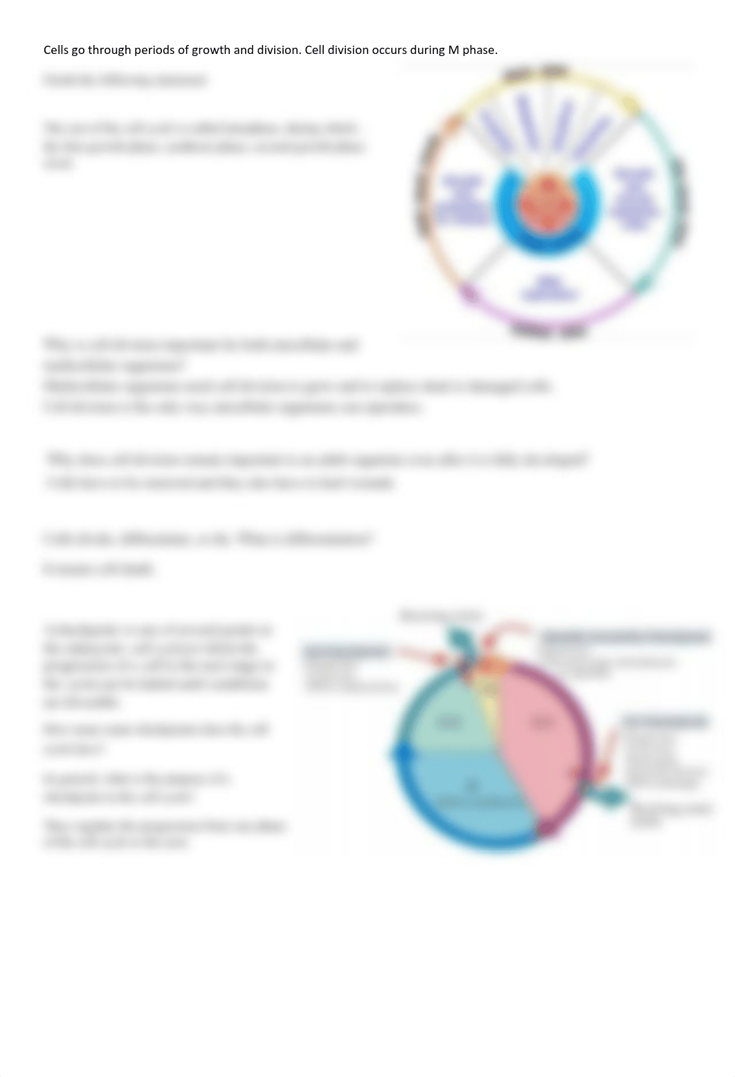 1i. 4_01_2021_Cell Cycle and Checkpoints .pdf_dlas2tdmnqg_page2