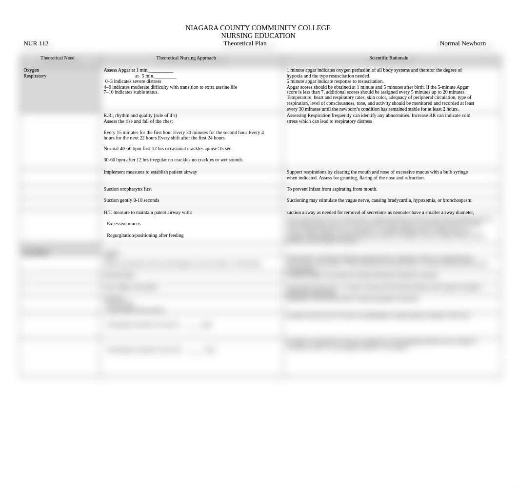 Normal Newborn Theoretical Care Plan.docx_dlauq0qu676_page1