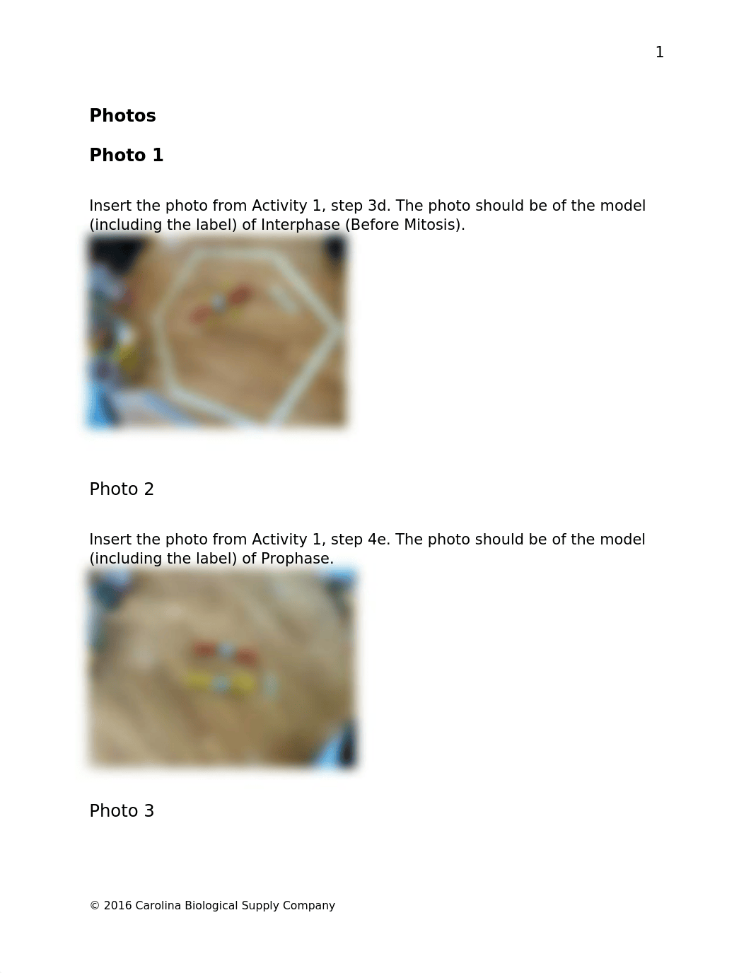 Mitosis and Meiosis Answer Sheet.docx_dlav410ne6e_page2