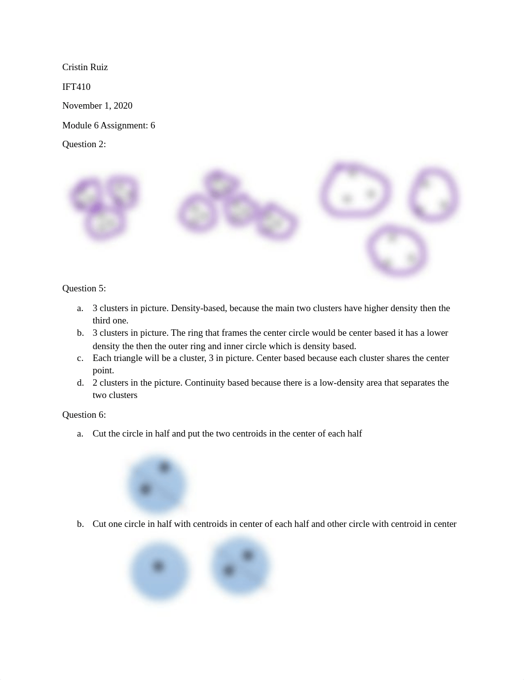 Module 6 Assignment 6.docx_dlaz2x87baq_page1