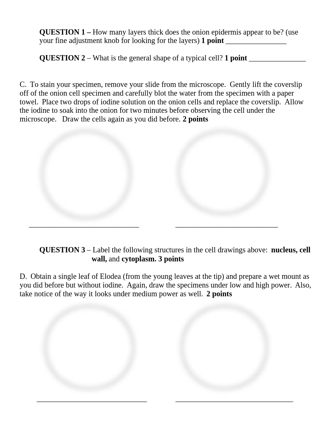 comparing_plant_and_animal_cells_lab (1)_dlb9bk4me2u_page2