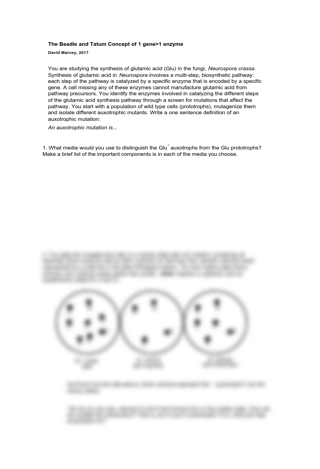 1gene_1enzyme_genetics.pdf_dlb9dkj72oe_page1