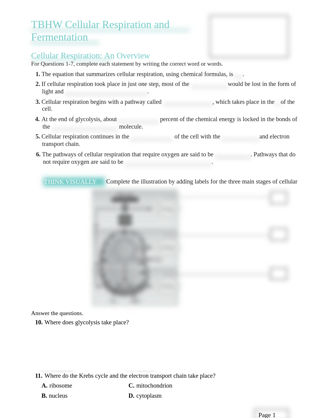 Cellular_Respiration_and_Fermentation (1).pdf_dlb9zx1ao5b_page1