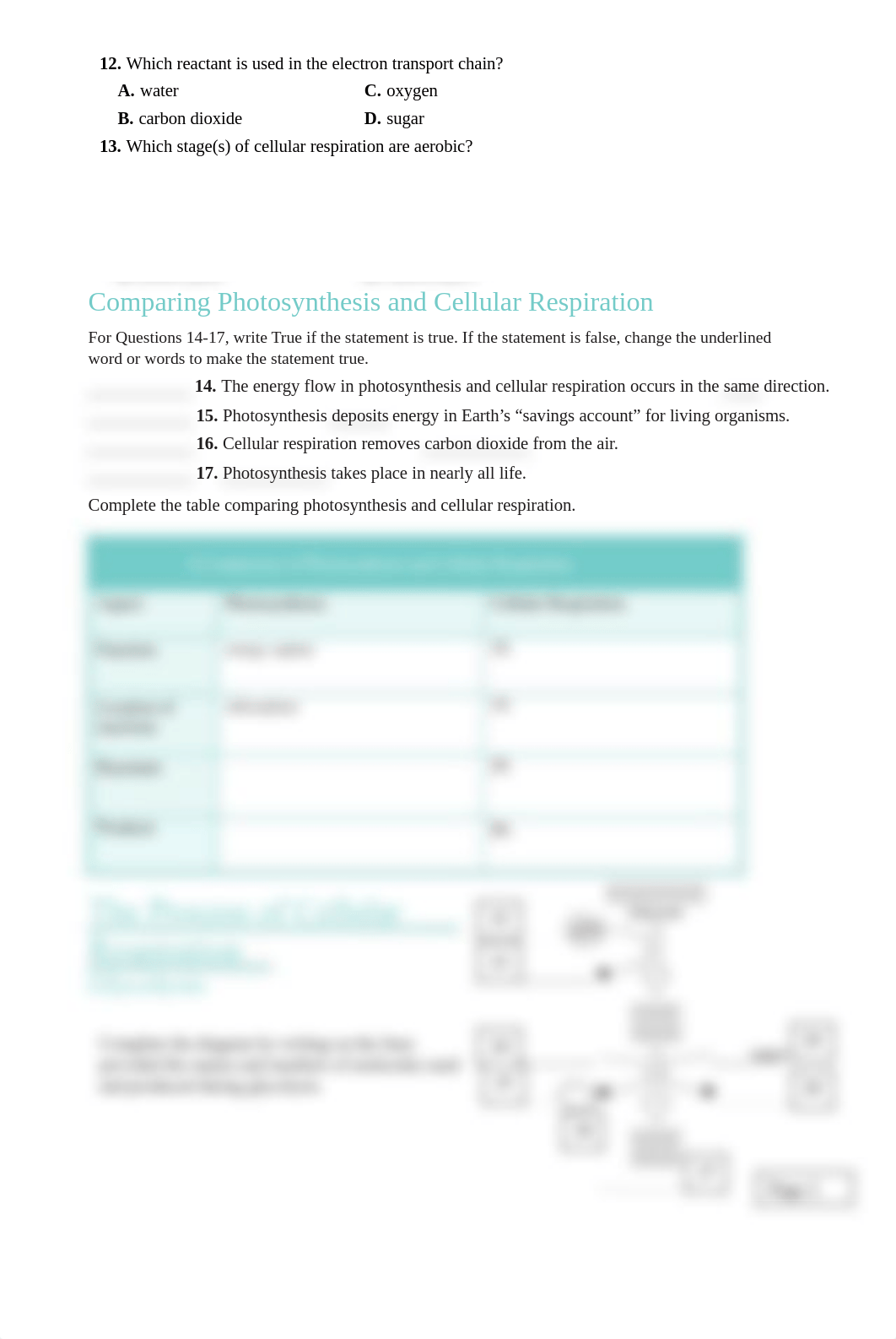 Cellular_Respiration_and_Fermentation (1).pdf_dlb9zx1ao5b_page2