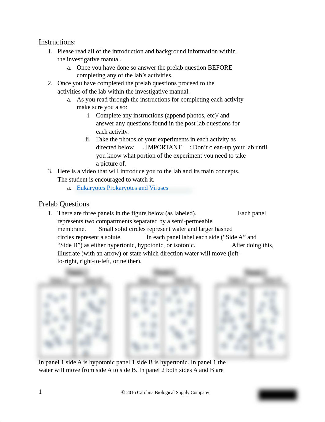 Lab_Report_Eukaryotes_Prokaryotes_and_Viruses.docx_dlbcag8nst0_page2