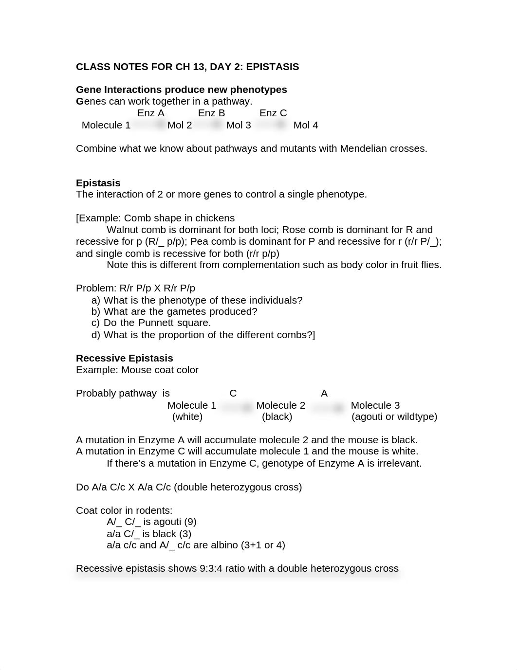 SZL 206 Gene interractions.pdf_dlbfq5dxguv_page1