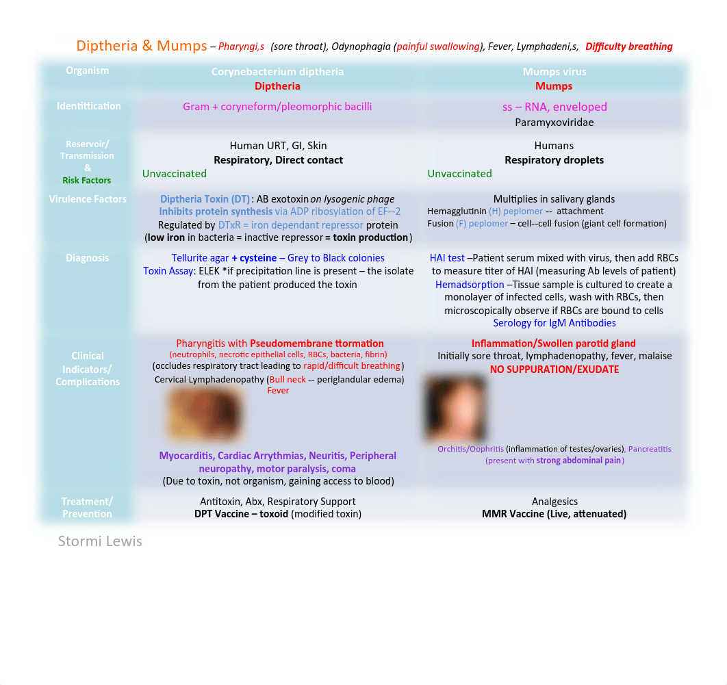 Block2-Respiratory.pdf_dlbjc7o3c87_page3