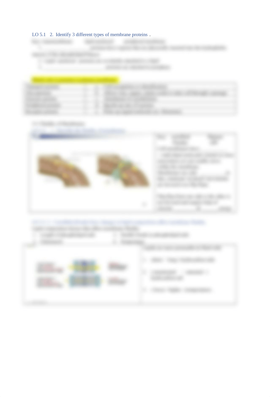 guide  5 part 1  revised  Fall 21 Brooker 5th  membrane structure synthesis transport  (1).docx_dlbpdsvy7p3_page2