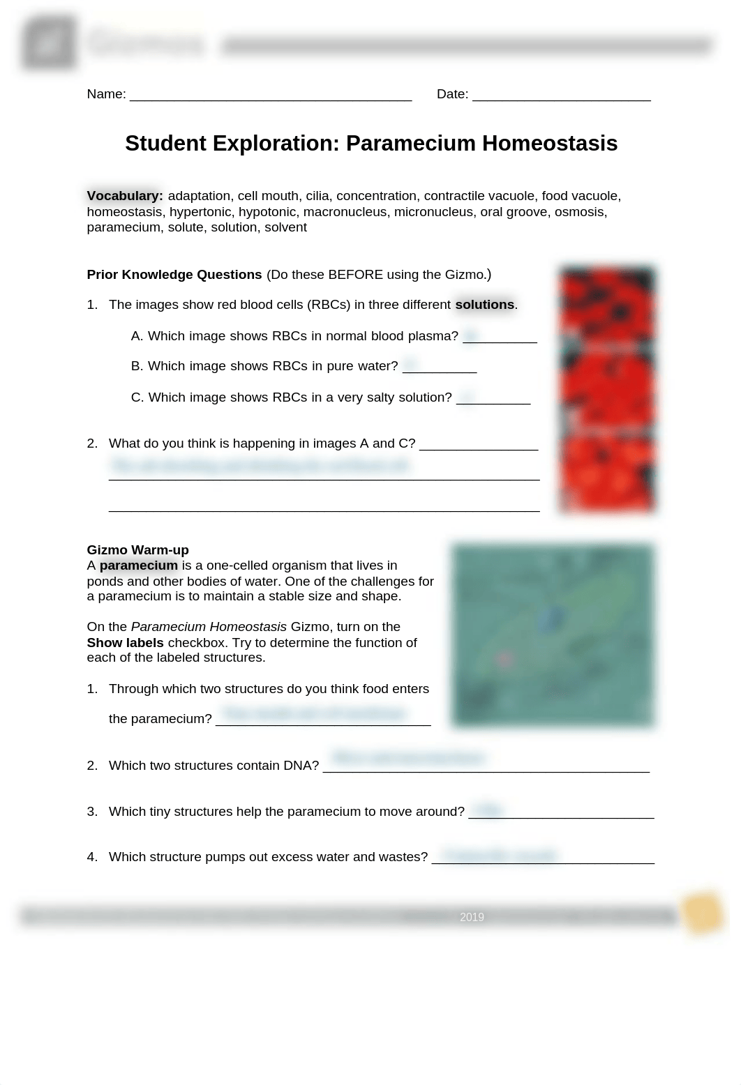 Paramecium Homeostasis.pdf_dlbpqspp171_page1