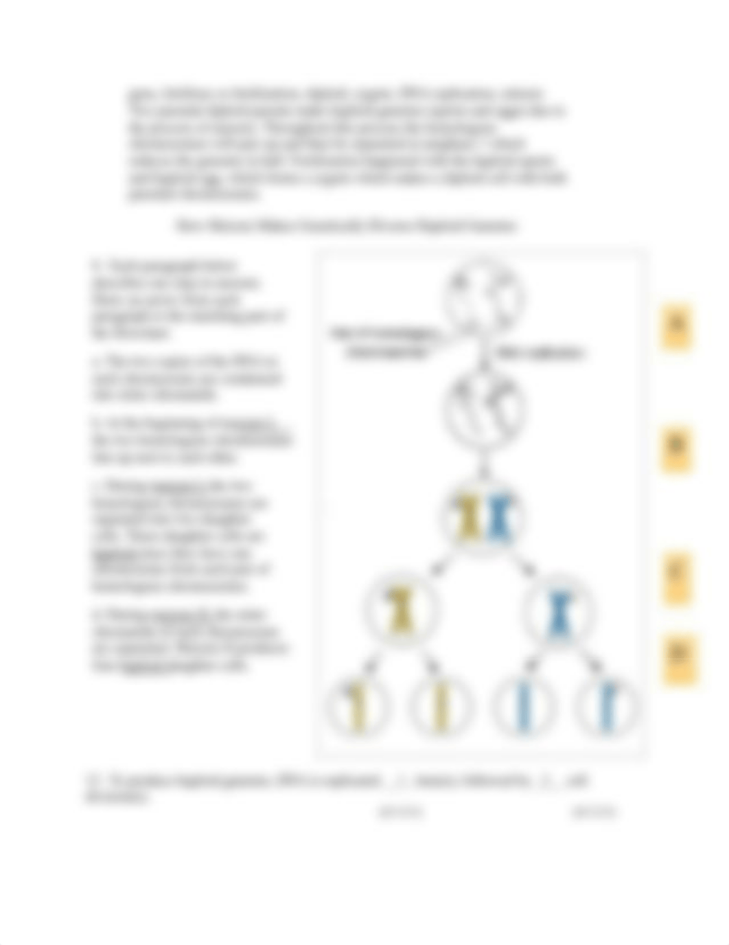 Ch 13 Homework.pdf_dlc8x1hryvt_page3