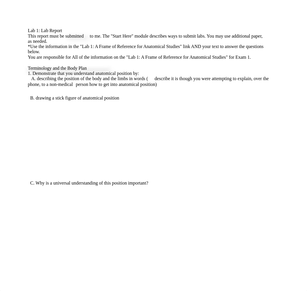 Lab 1.docx_dlcdhz24k63_page1