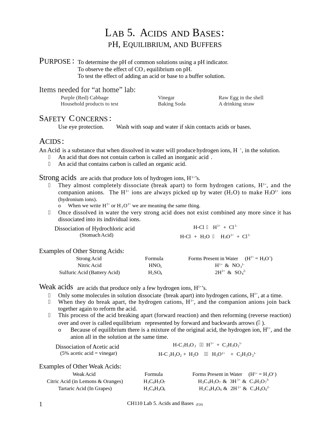 5 CH110 Acids and Bases F20 Remote.docx_dlcgmkwh6vp_page1