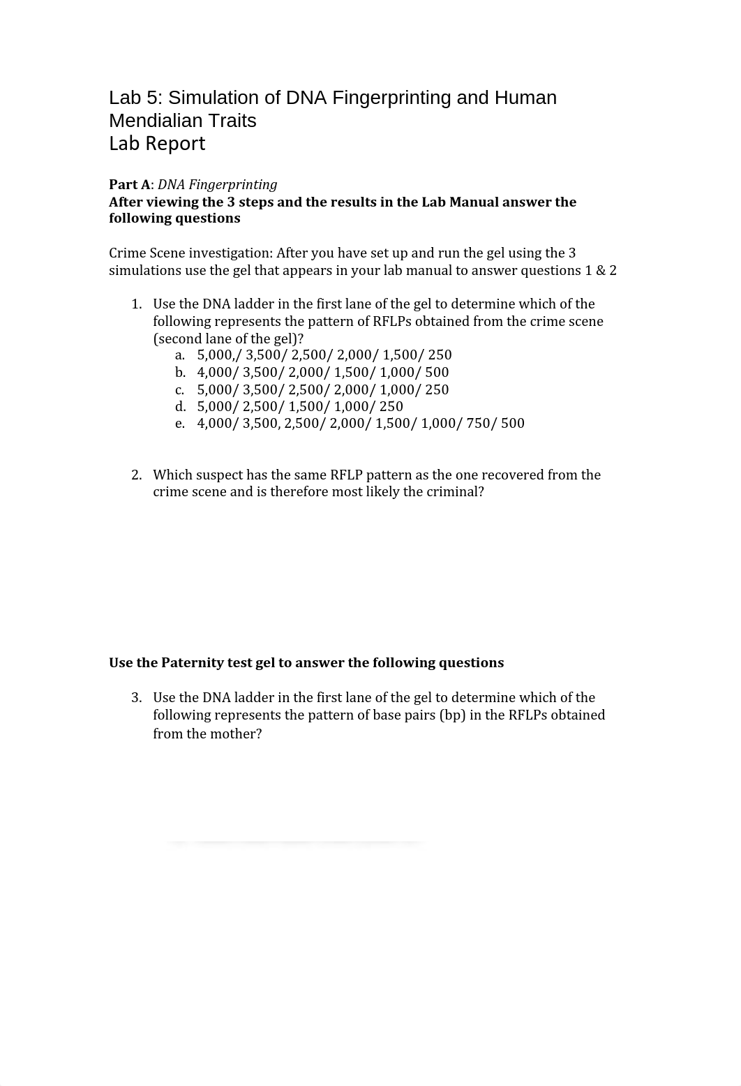 Lab 5 Lab Report .pdf_dlcn87qehyt_page1