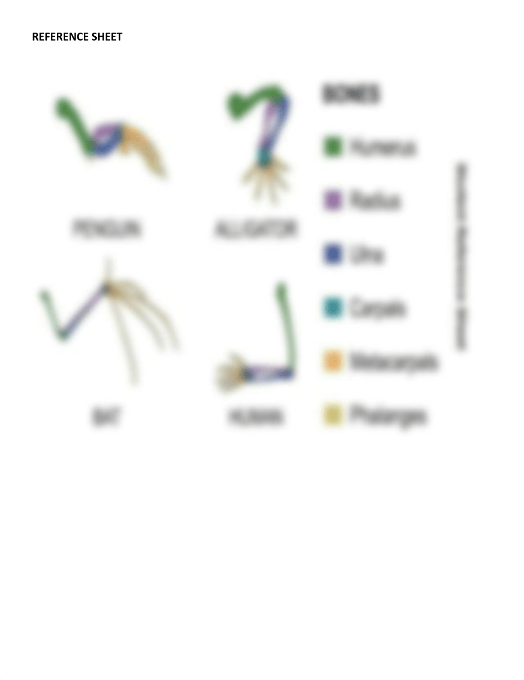 Javon_Calmese_-_StudentCopy_EvidenceOfCommonAncestry_Stations.pdf_dlcscakw985_page2