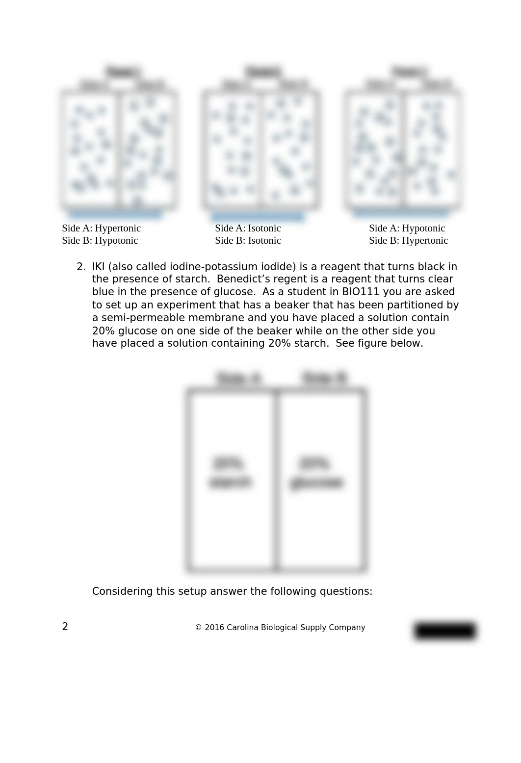 Lab_Report_Eukaryotes_Prokaryotes_and_Viruses LAB SHELBY HANSON.docx_dlctel4pzxm_page3