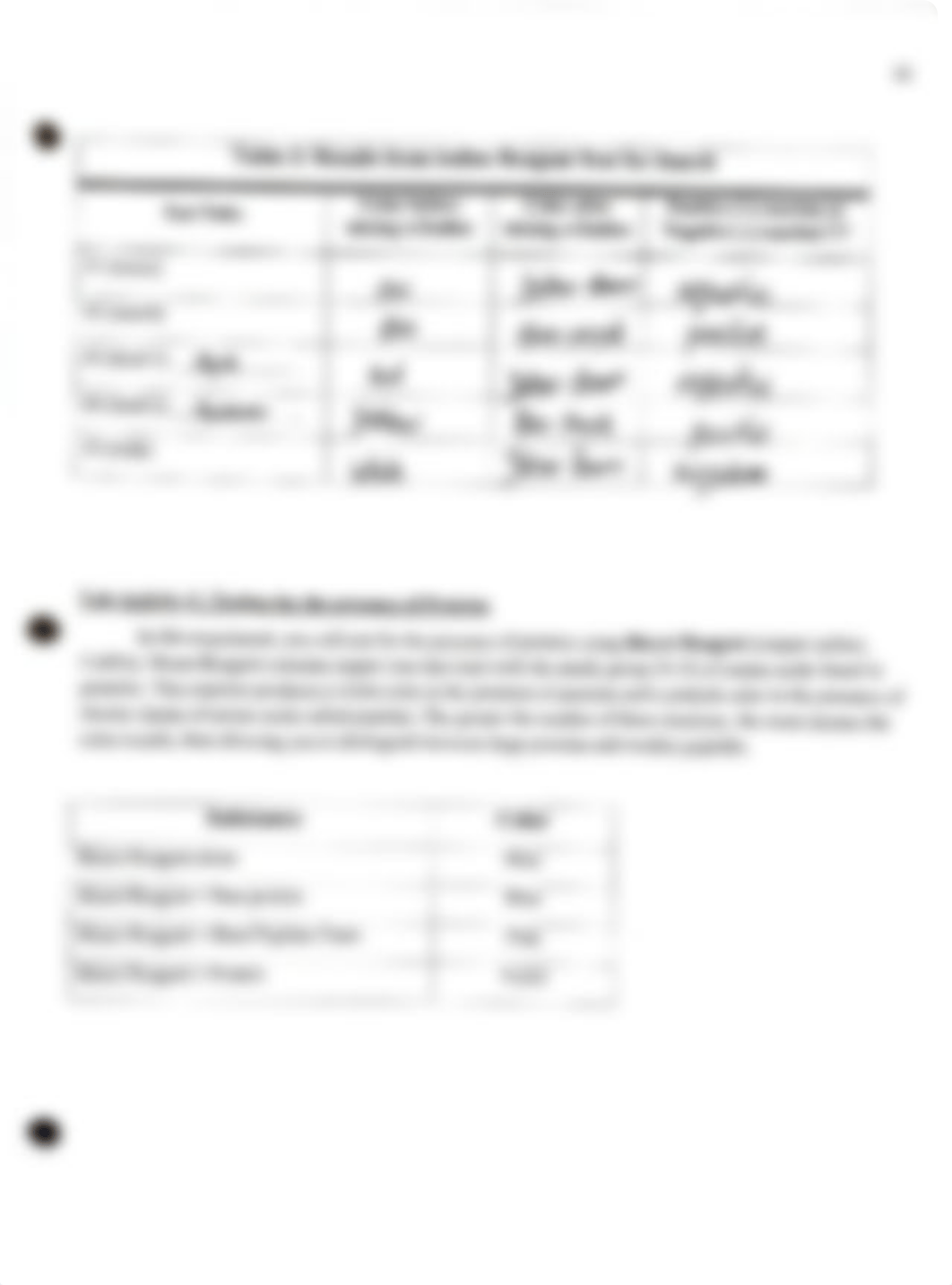 BIOL 003 Lab#4.pdf_dlcysxtk0zf_page4