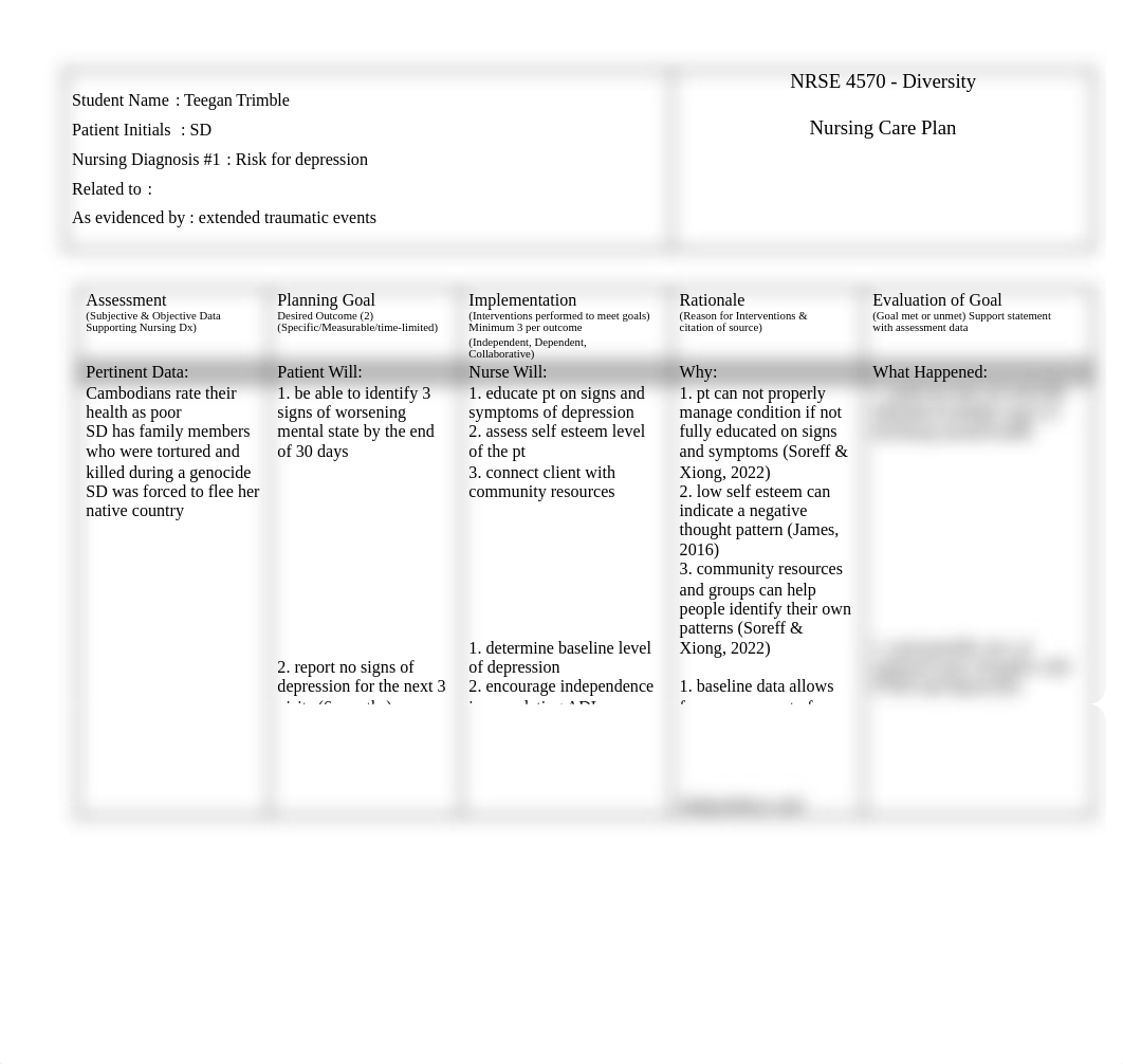 NRSE 4570_Care Plan_Fall 2023-1.pdf_dld41rooqw1_page1