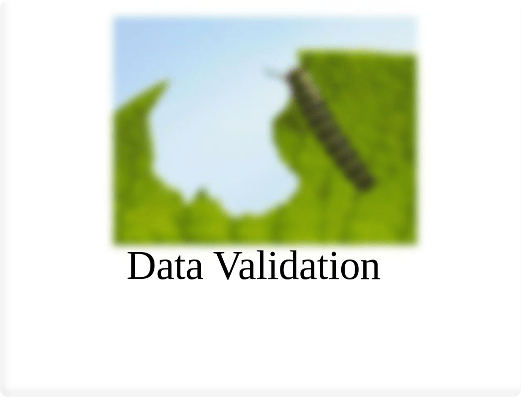 Data Validation.pdf_dld6wjgkg19_page1