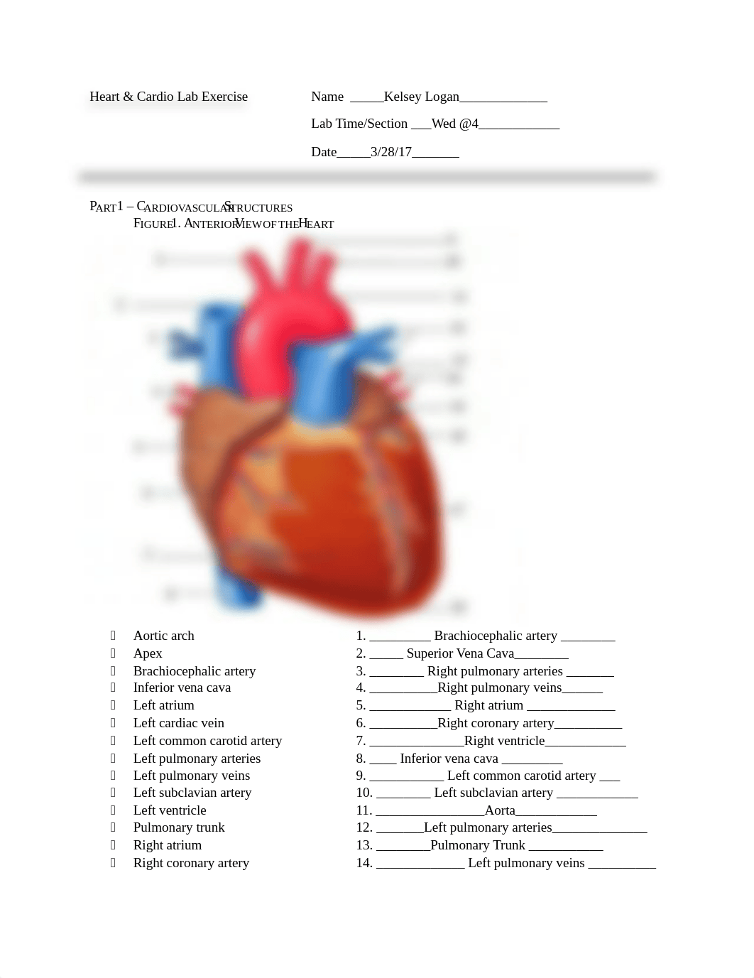 Cardio lab #5- Kelsey Logan_dld8qdopp87_page1