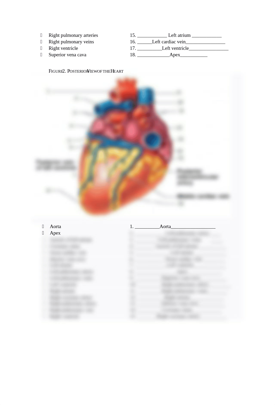 Cardio lab #5- Kelsey Logan_dld8qdopp87_page2