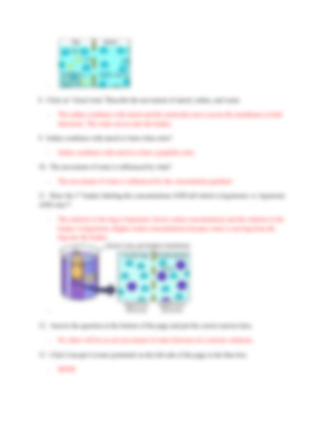 Ella Nesbitt [Student] - VIRTUAL LAB-diffusion  osmosis.pdf_dldababyf4u_page2