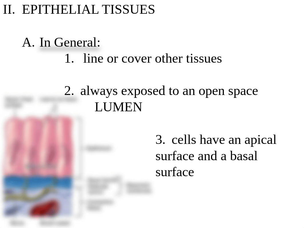 14th edition Butler Ch4 notes.ppt_dlddtwv2rlg_page5