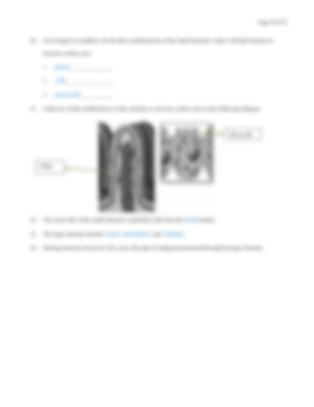 05. Digestive System Worksheets (1).docx_dldf7tlaq1c_page4