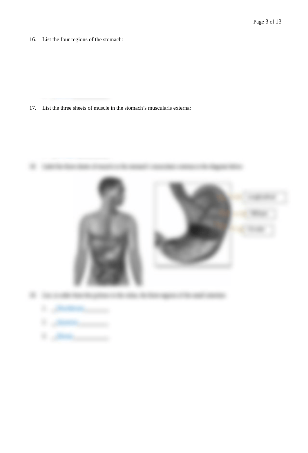 05. Digestive System Worksheets (1).docx_dldf7tlaq1c_page3