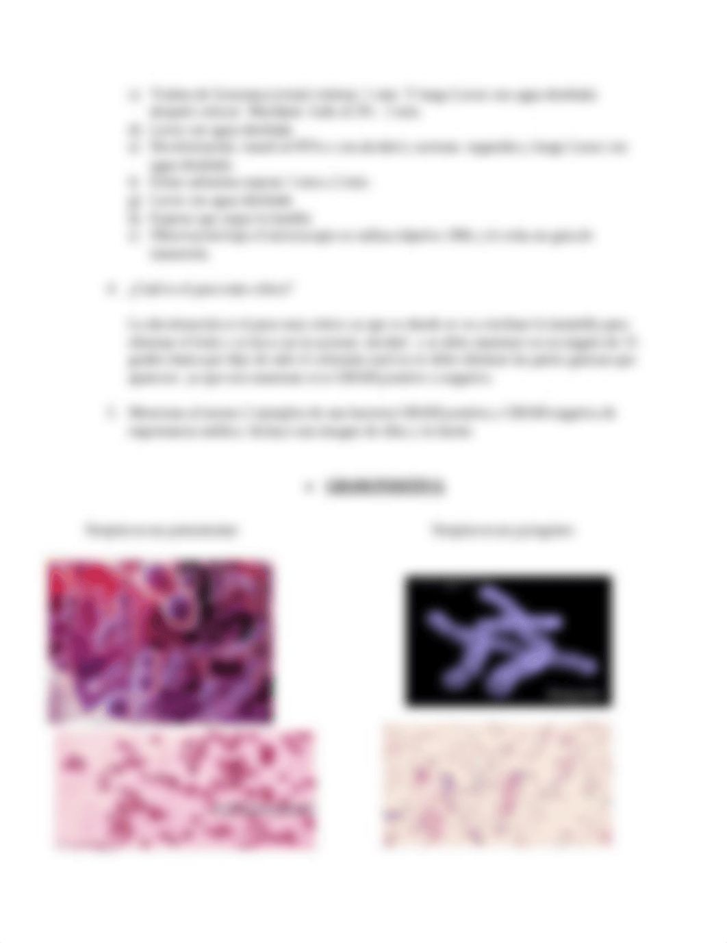 tarea 2 metodos y procedimientos de laboratorios.pdf_dldfa3qpc6a_page2