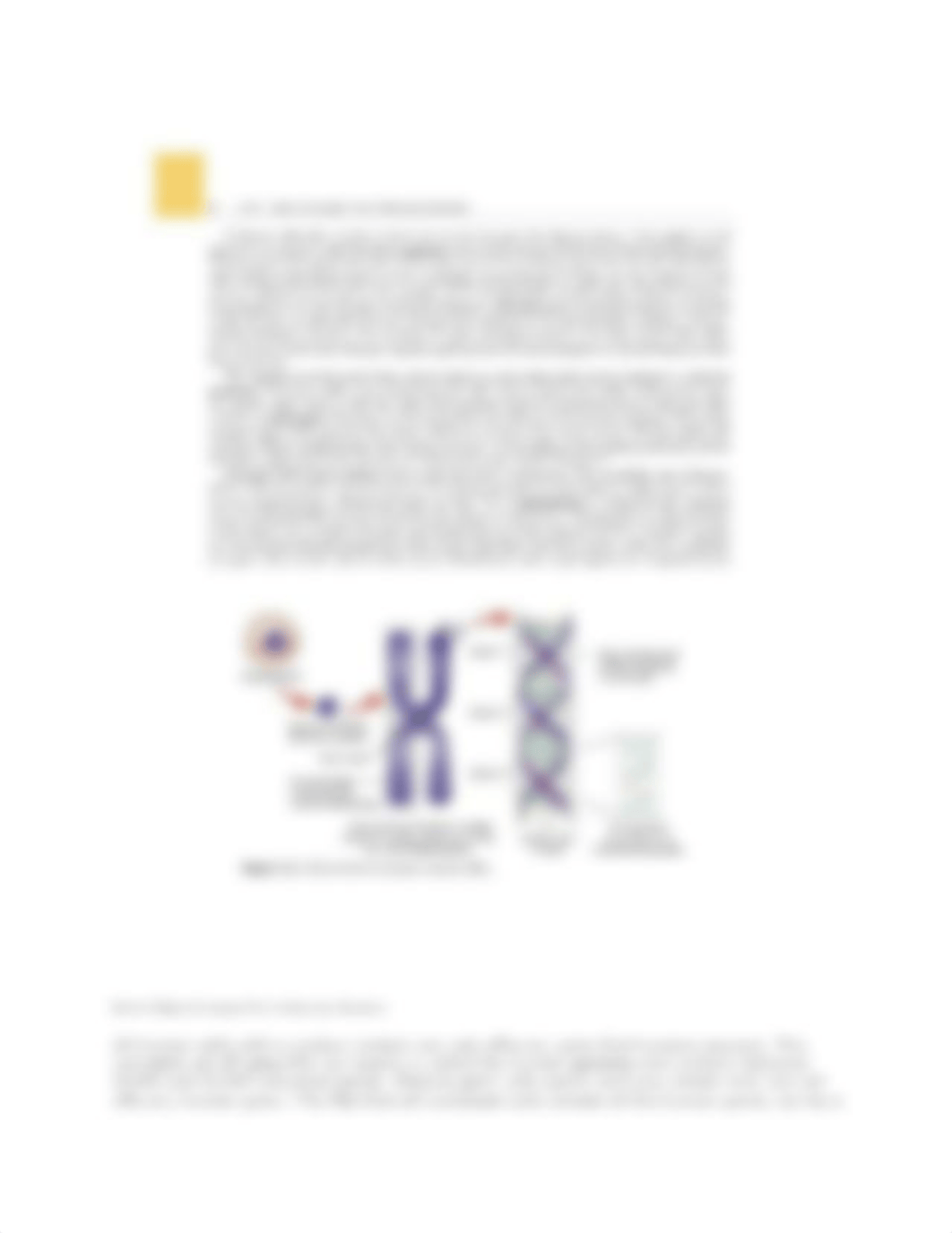 DNA Structure and Function.docx_dldk2e5pm59_page5