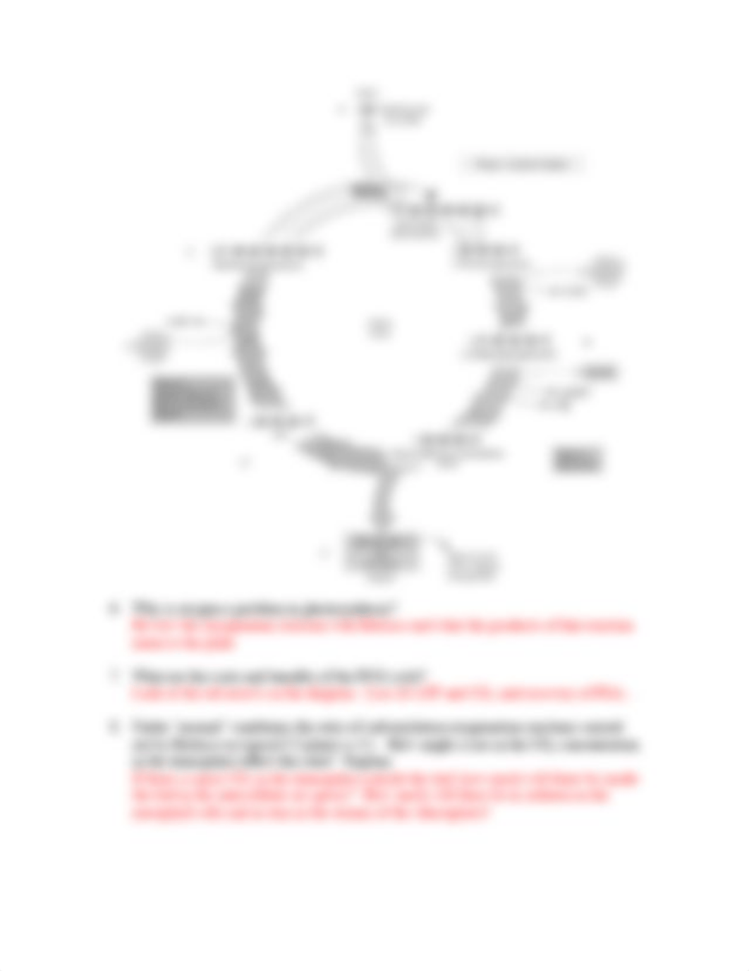 PracticeQuestionsSet6Summer2018Photosynthesis.pdf_dldr5fj2kyp_page2