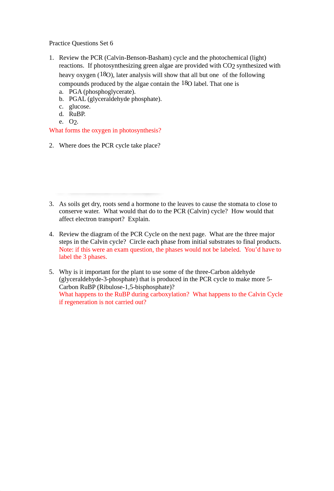 PracticeQuestionsSet6Summer2018Photosynthesis.pdf_dldr5fj2kyp_page1