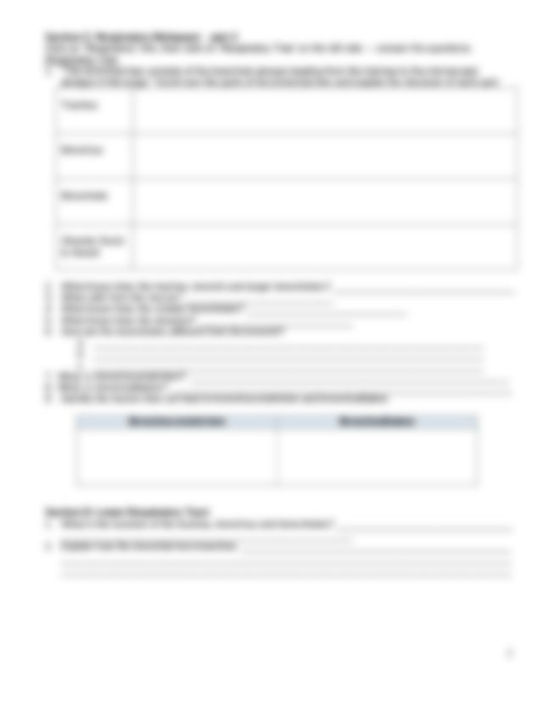 respiratory system ws.pdf_dldtm2e6sr7_page3