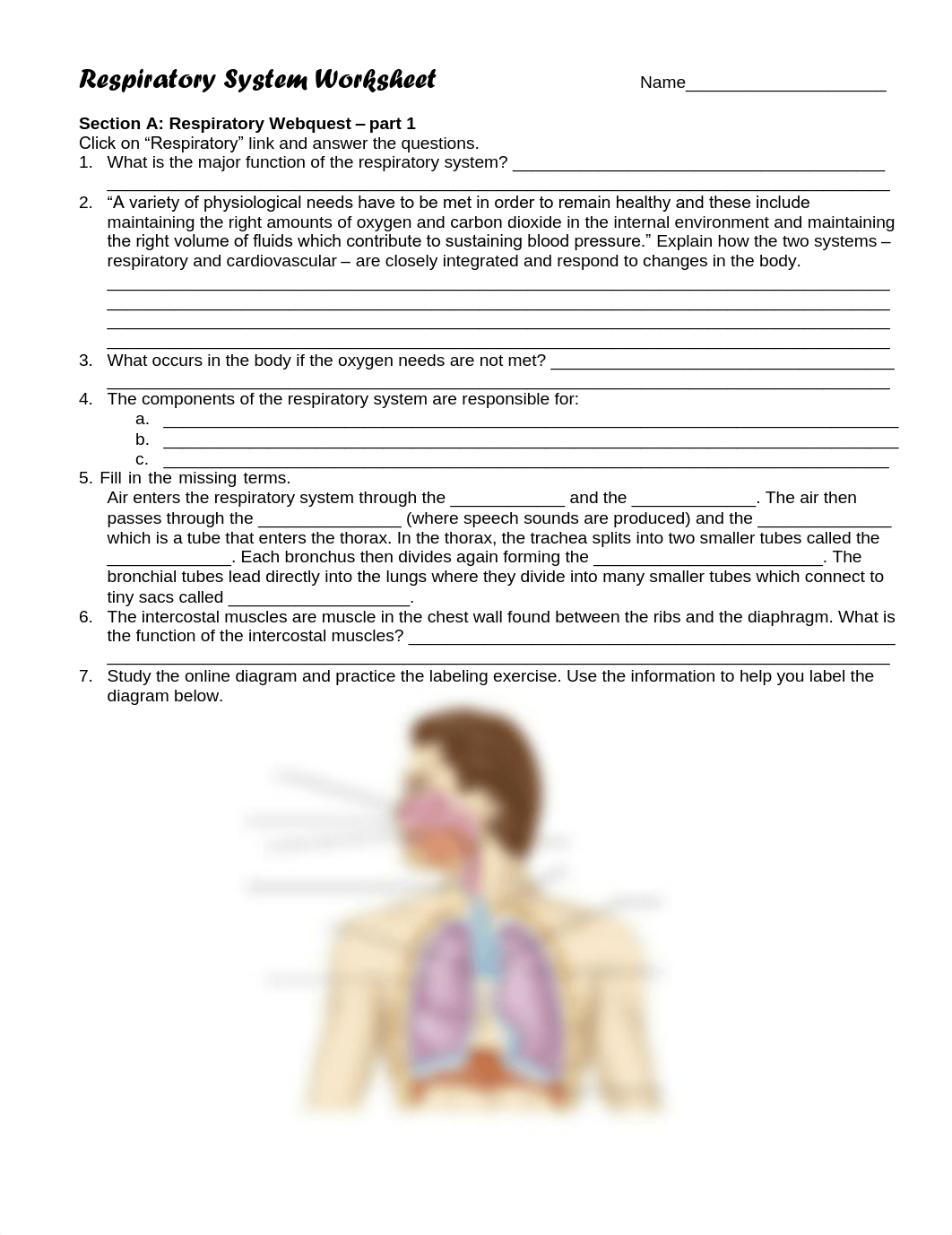 respiratory system ws.pdf_dldtm2e6sr7_page1