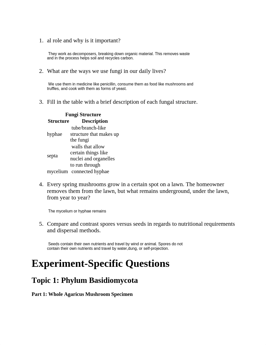 fungi lab.docx_dlduo63s3op_page1