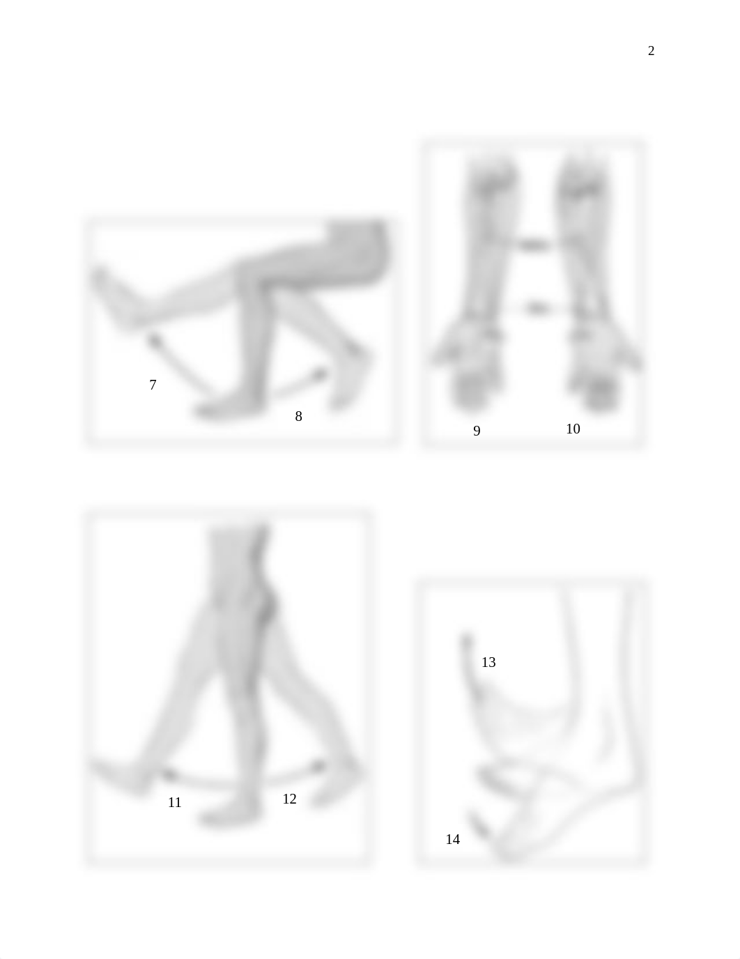 Chapter 8 Ranges of Motion Quiz.pdf_dldzypb21r6_page2