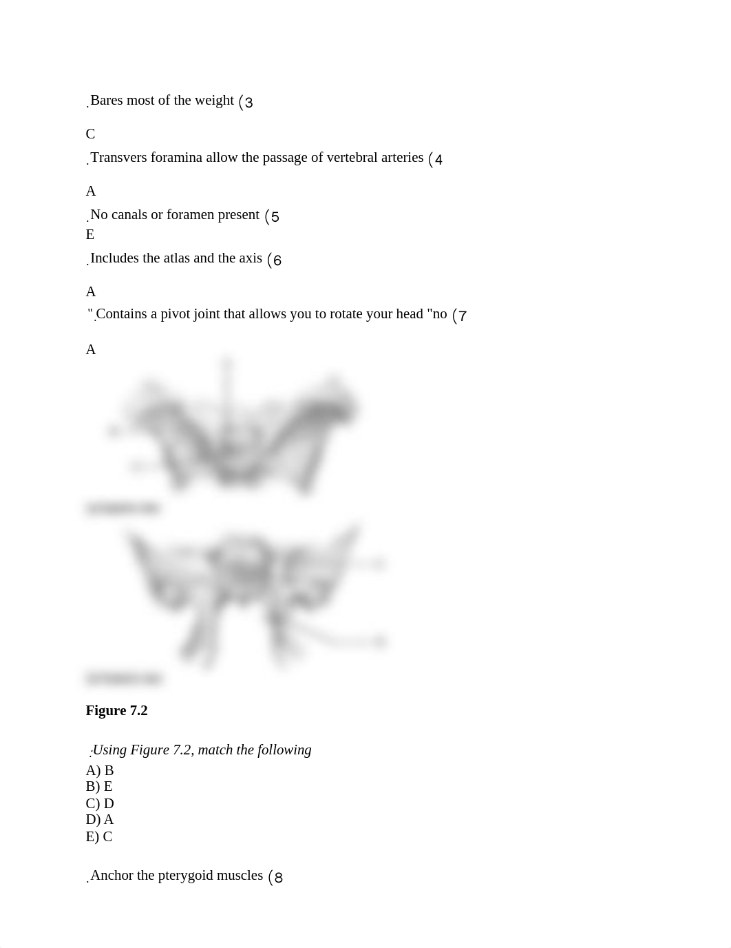 ch_07_worksheets answer .docx_dle2n0jb3tu_page2