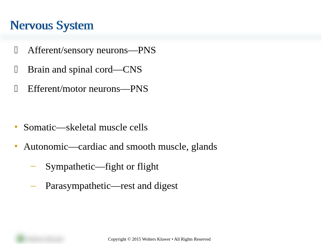 Chapter 13- Student - Organization and Control of Neural Function-1.ppt_dlebh359l3b_page2