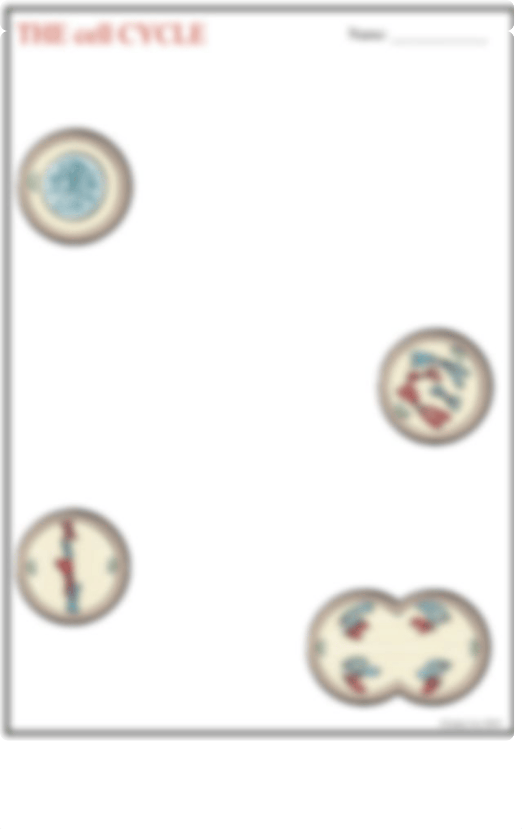 Cell Cycle Guided Reading.pdf_dlef0k2a3wo_page1