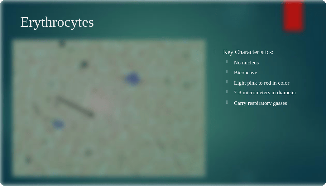 Lab 3 â Blood Tests (2).pptx_dlehdgwp7km_page4