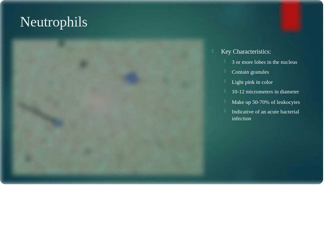 Lab 3 â Blood Tests (2).pptx_dlehdgwp7km_page5