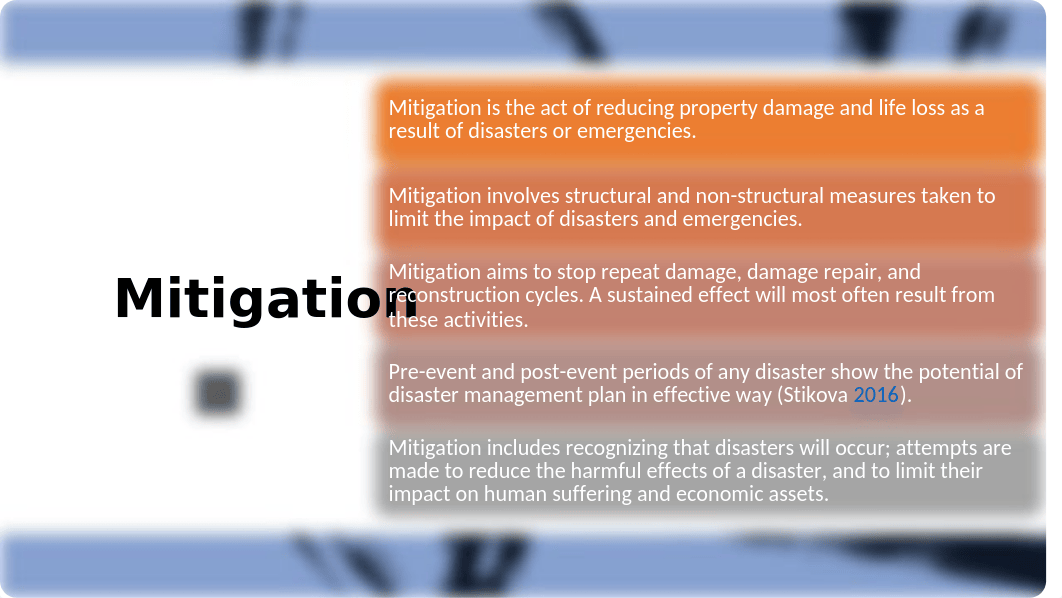 Disaster Management Principles.pptx_dlemyjsf2ej_page4