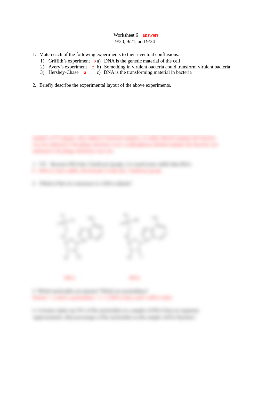 Worksheet 6 FALL2018 answers (1).docx_dleosof6mb3_page1