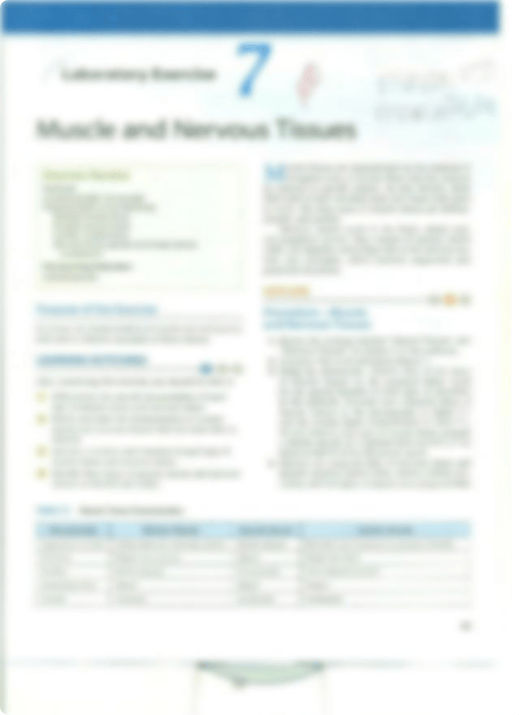 Chapter 7 Laboratory Exercise "Muscle and Nervous Tissues"_dleusw8qioz_page1