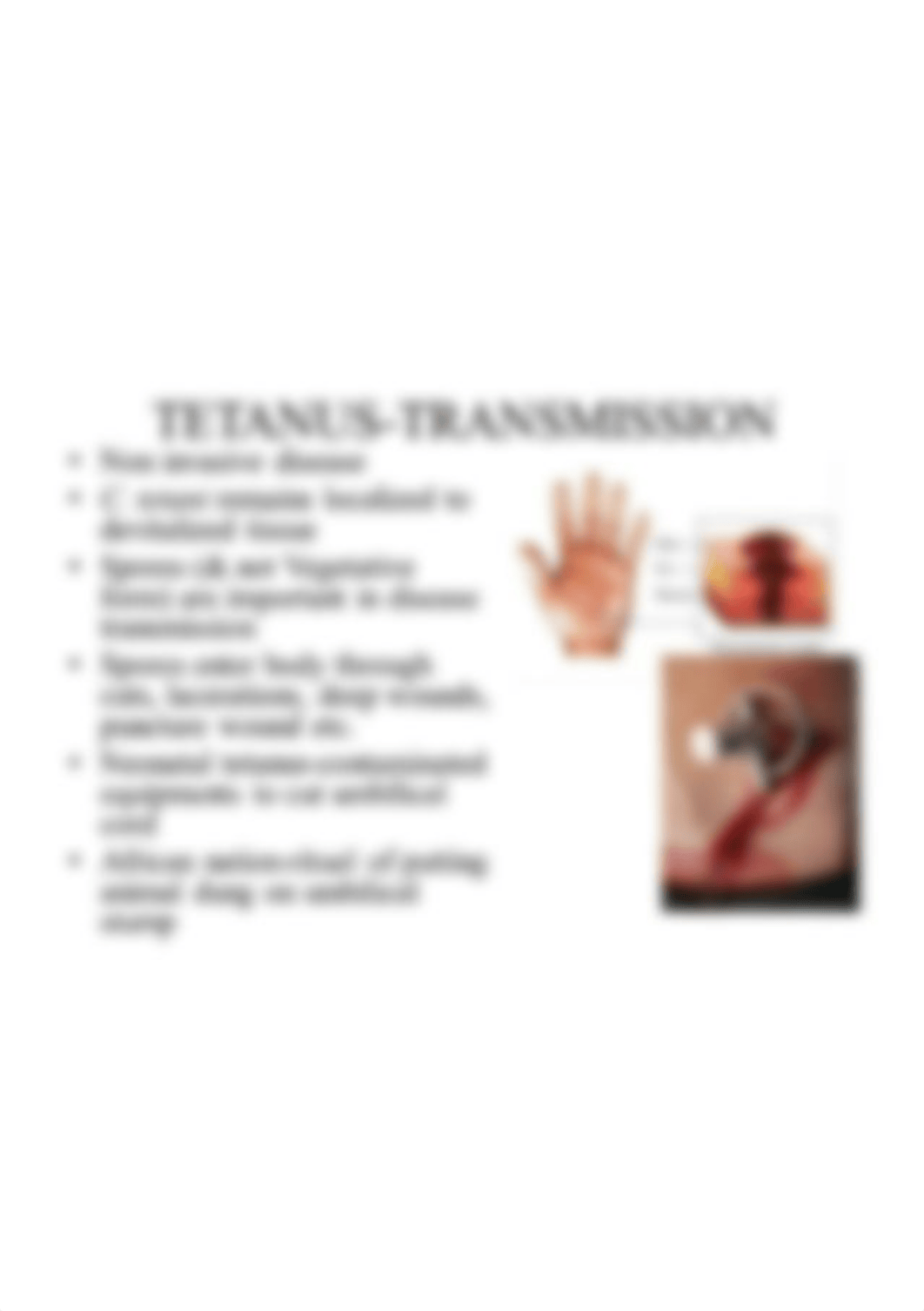 TETANUS-TRANSMISSION.jpg_dlf1tchjbzr_page1